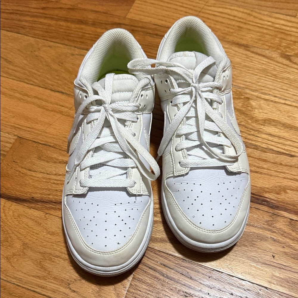 Nike Dunk White Lace-Up Sneakers